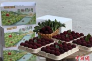 梦见光头高速赋能产业升级：一条“杨梅路”的致富密码